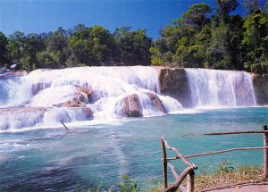 Agua Azul Waterfalls near Palenque
