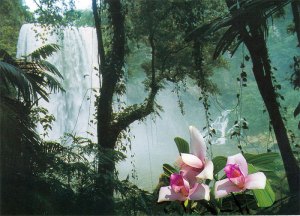 Misolha Waterfall near Palenque